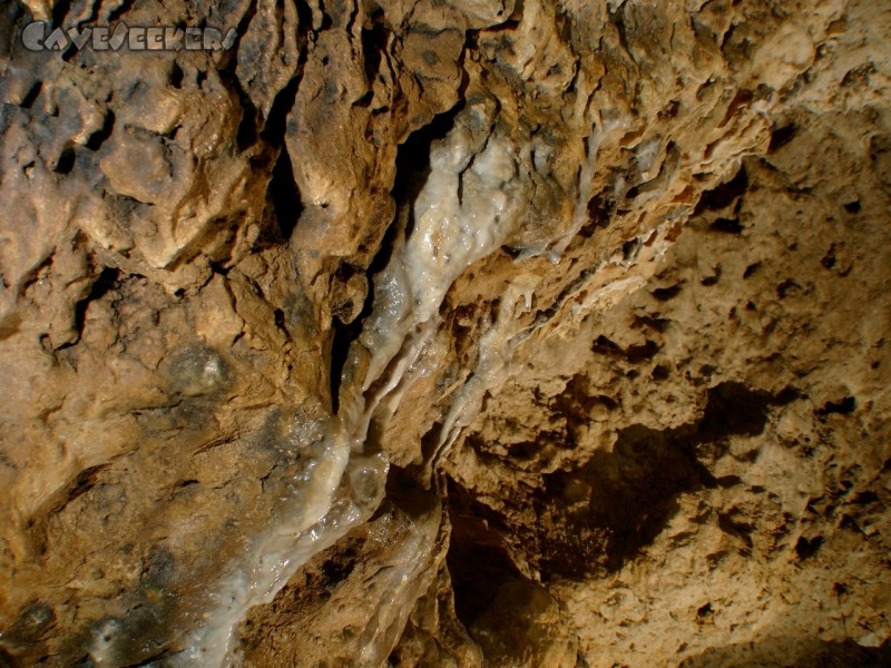 Rennerfelshöhle: Und sogar eine kleine Sinterfahne.