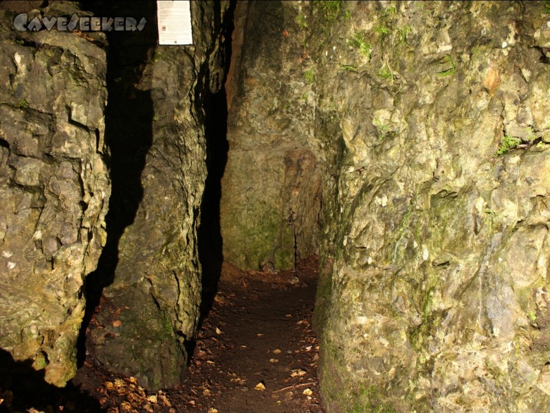 Rosenmüllerhöhle: Der Eingang für die Massen. Einfach zu finden. Leichtes Bücken notwendig.