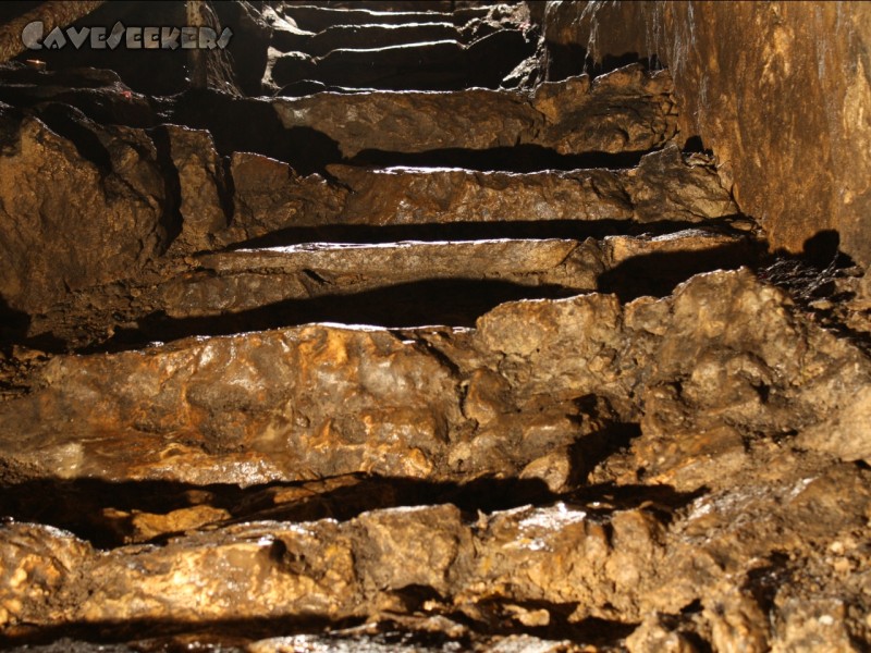 Rosenmüllerhöhle: Treppen: Hier ist der Geocacher gefordert.