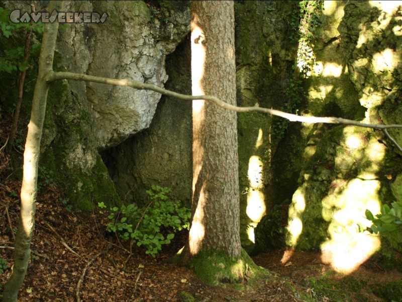 Rosenmüllerhöhle: Der Orginaleingang. Hier seilt man ab.