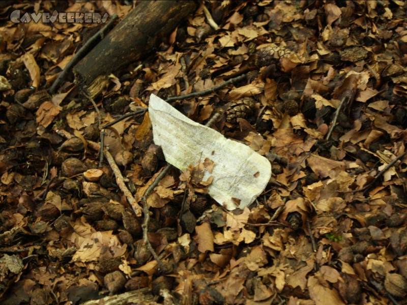 Rosenmüllerhöhle: Im Abort-Bereich der Rosenmüllerhöhle.