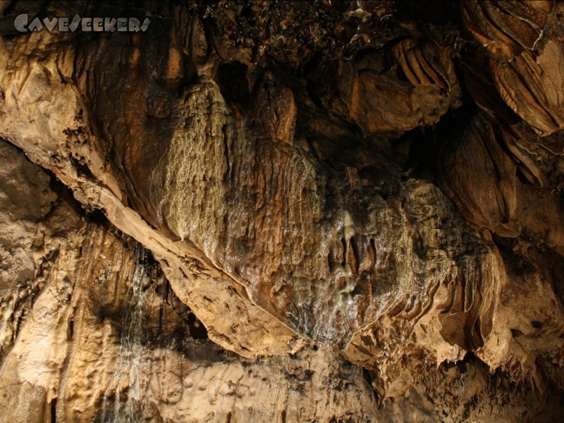 Rosenmüllerhöhle: Fast frischer Sinter.