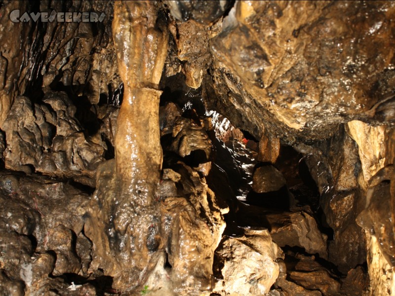 Rosenmüllerhöhle: Sinter im Schluf.