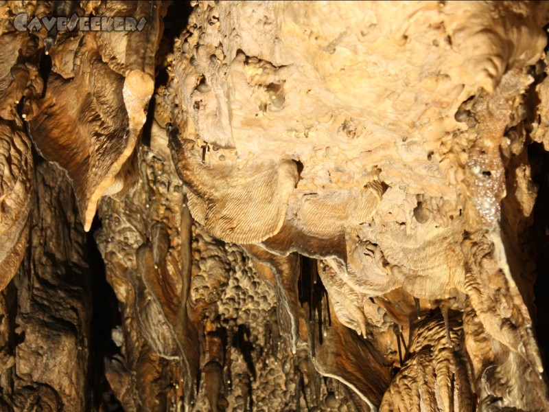 Rosenmüllerhöhle: Sogar Sinterfahnen hängen von der Decke.