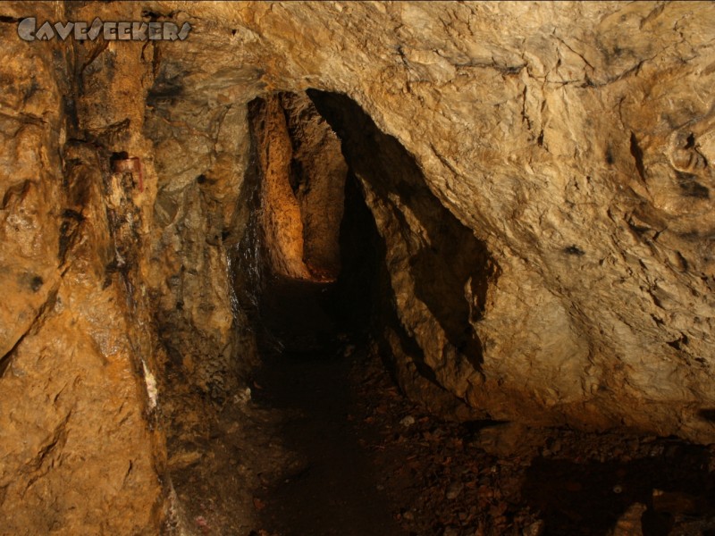 Rosenmüllerhöhle: Der Weg nach aussen. 160cm hoch.