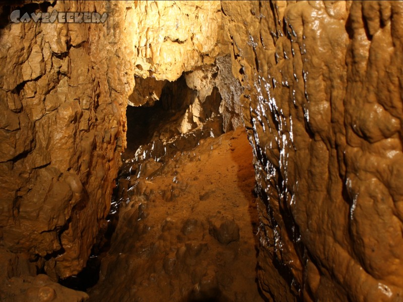 Rosenmüllerhöhle: Im unteren Bereich. Hier sollte ein engagierter Cacher mal eine Dose setzen. Dann würde seine Kundschaft wenigstens ein wenig schmutzig.