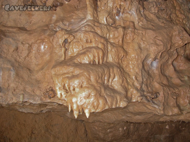 Rostnagelhöhle: Sinter für Einsteiger im Eingangsbereich.