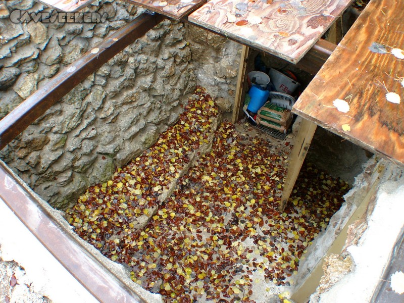 Rostnagelhöhle: Herbst im Kassenhäuschen.