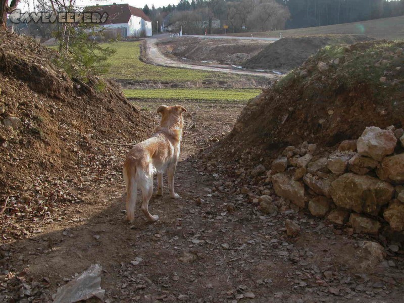 Rostnagelhöhle: Auf der Wacht.