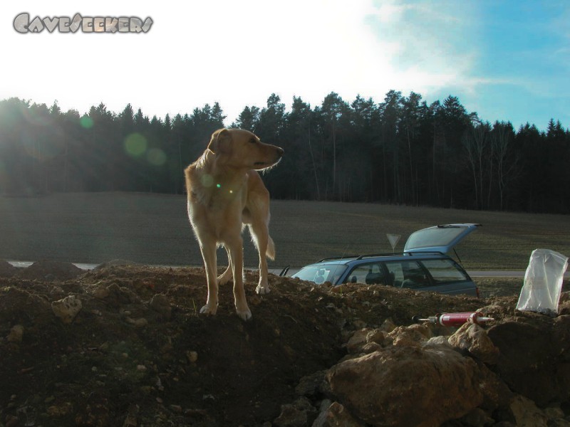 Rostnagelhöhle: Stolz am Abend.
