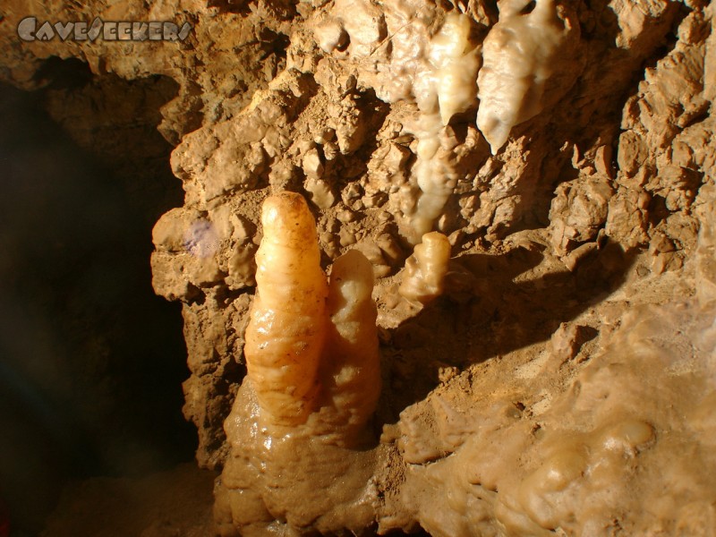 Rostnagelhöhle: Nochmals das Prachtstück. Wer nur eins hat, fotografiert dieses gern.