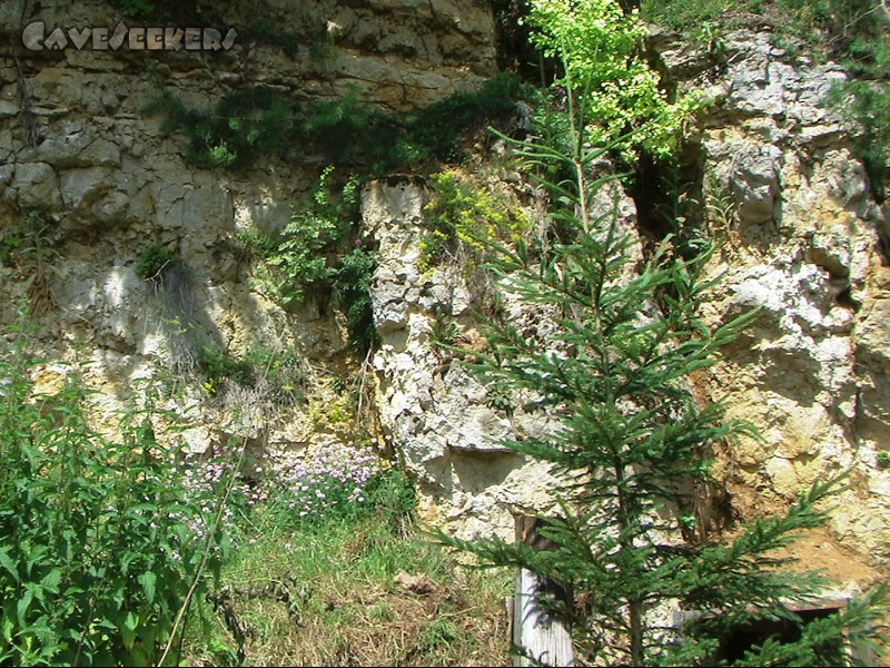 Rostnagelhöhle: Noch mehr Steinbruch. Man beachte den kleinen Baum im Vordergrund.