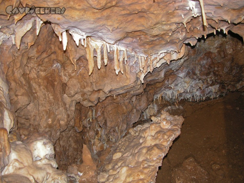 Rostnagelhöhle: Erste Krüppel an der Decke. Schöne Sinterplatte voraus.