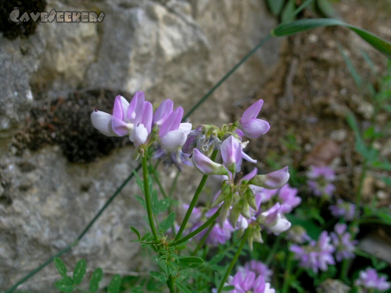 Rostnagelhöhle: Landsberger Gemenge - Nahaufnahme.