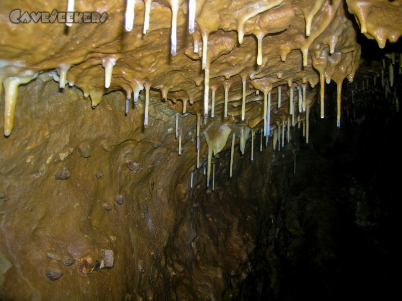 Rostnagelhöhle: Neuland.