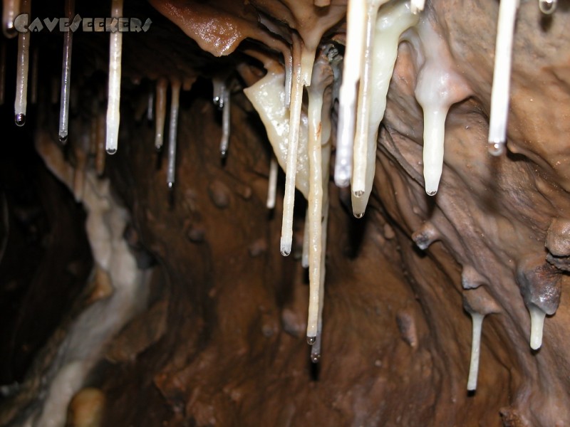 Rostnagelhöhle: Strahlende Situation in der guten RNH.