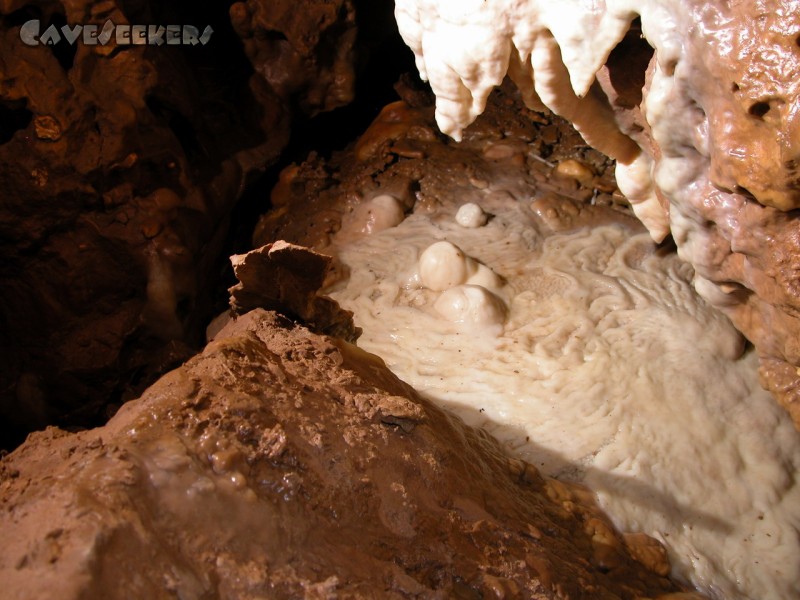 Rostnagelhöhle: Sinterbecken - vollständig unberührt.