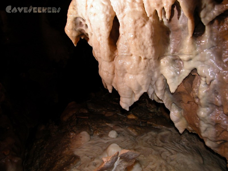 Rostnagelhöhle: Unbestäubt.