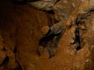 Rostnagelhöhle - Der Bohrer beim Erkämpfen von neuem Neuland im Spalt des fallenden Felsens.