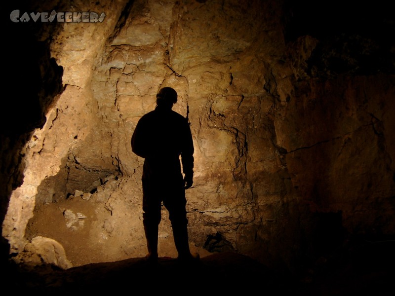 Rostnagelhöhle: Caveseekers in da House.