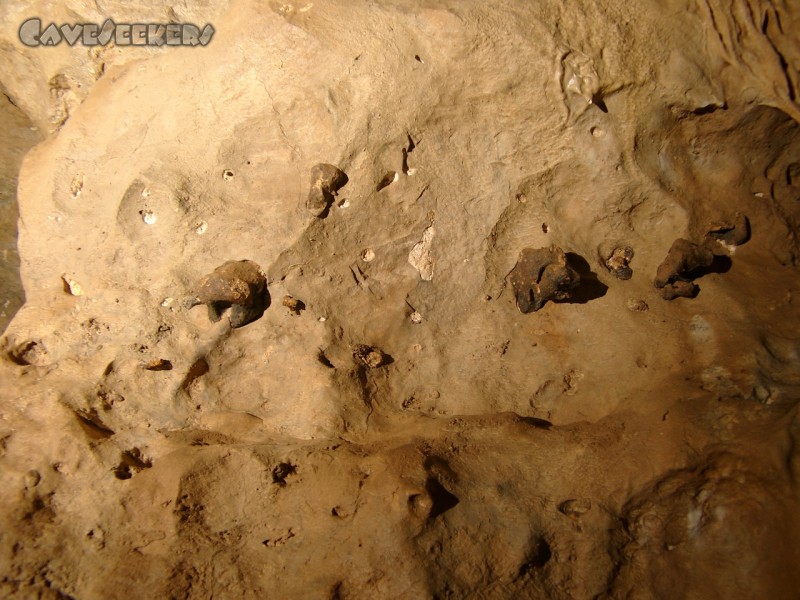 Rostnagelhöhle: Spektakulärer Fund in Rostnagelhöhle: Kotversteinerungen an der Höhlendecke. Ein Hinweis auf unappetitliche Praktiken im Jahre 18000 BC?