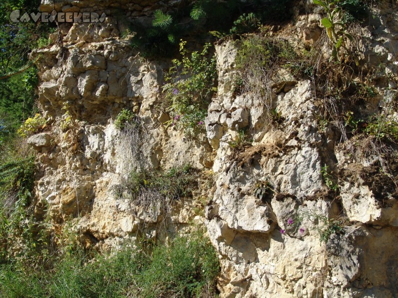 Rostnagelhöhle: Gar Herrlich!