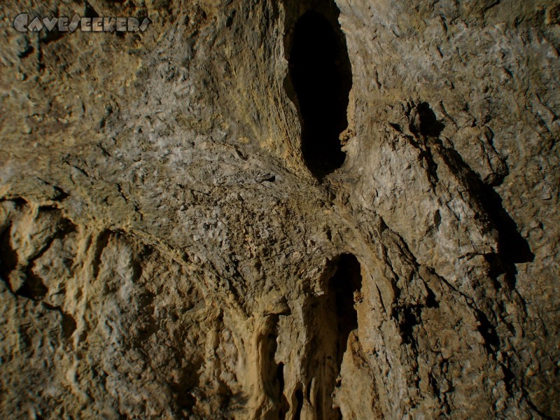 Saugartenhöhle: Höhlenanatomie. Interessantes Fach.