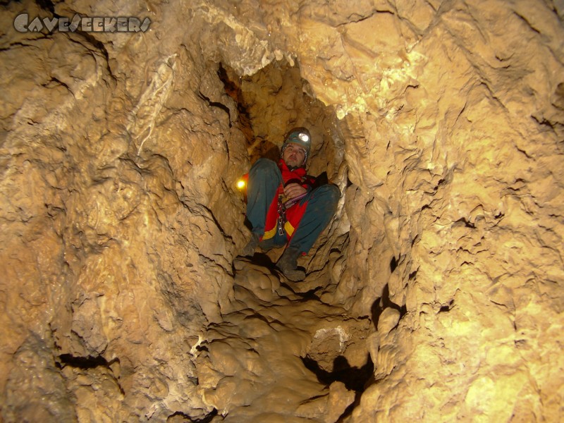 Saugendorfer Höhle: In Höhlen öfters zu finden, der Moosbüffel in seiner Wohnröhre.