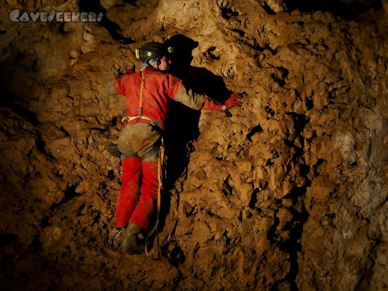 Saugendorfer Höhle: Hr. Weiss hat die Lethargie überwunden.
