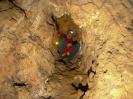Saugendorfer Höhle - In Höhlen öfters zu finden, der Moosbüffel in seiner Wohnröhre.