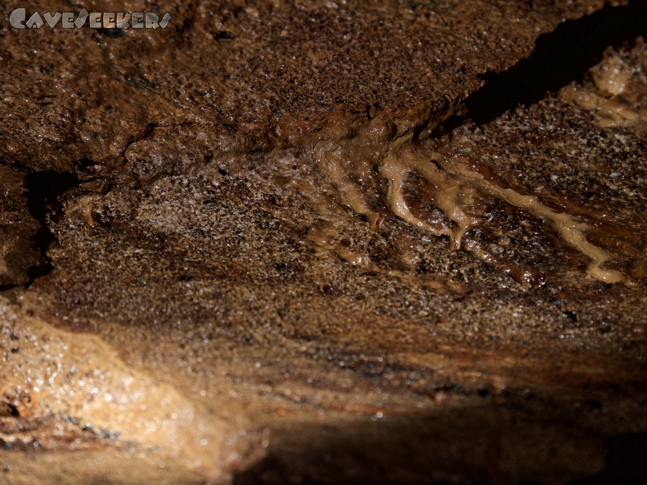 Schandtauber Höhle 2: Decke oder Boden? Vielleicht Wand. Man weiß es nicht.