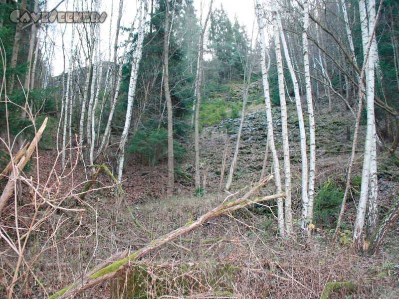 Schiefergrube Bocksberg: Der Blick nach oben.