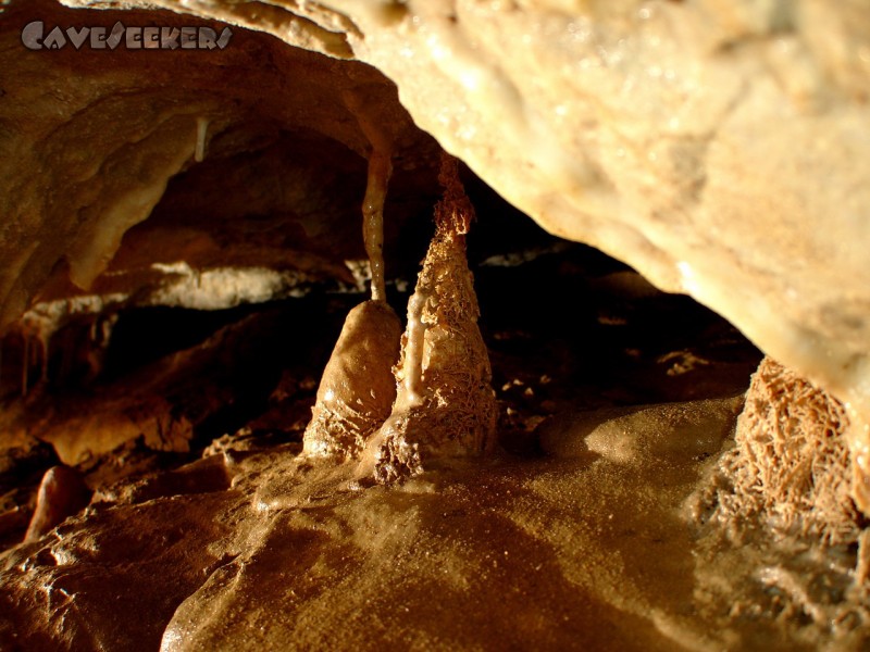Schleifsteinhöhle: Herrliche Krüppel - hier fehlt jeder Hinweis, warum sowas passieren musste. Es handelt sich NICHT um irgendwelche Wurzeln. Wir vermuten eine lichtscheue bakterielle Lebensform ist der Urheber dieses doch sehr schönen Zeugs. Ausserirdischer oder terroristischer Hintergrund kann und wird jedoch nicht ausgeschlossenen.