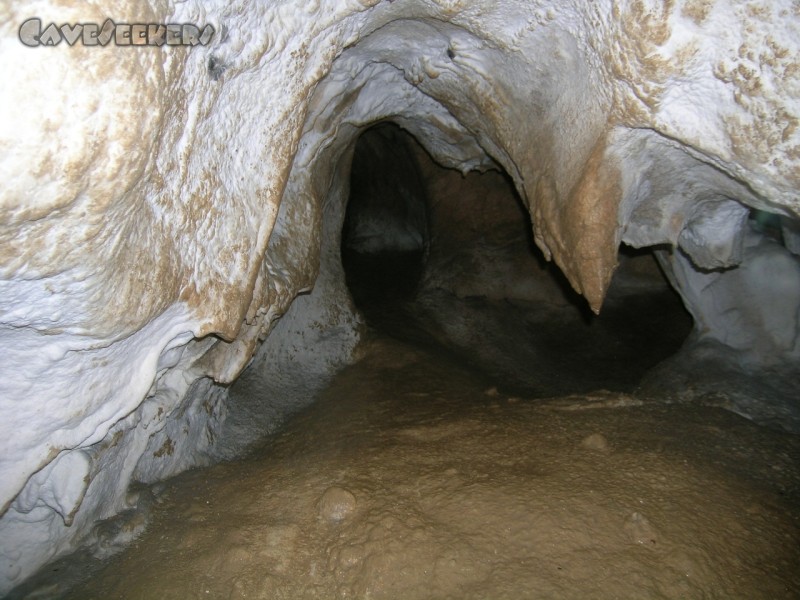 Schlüssellochhöhle: Preisfrage: Wie kommt der Dreck an die Decke?