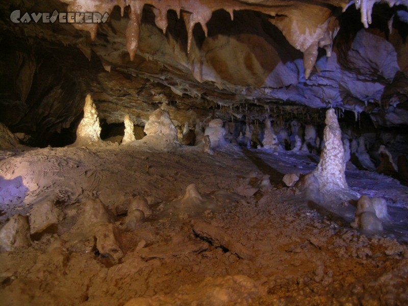 Schlüssellochhöhle: Korrekte Versinterungen im Disco-Licht.