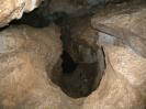 Schlüssellochhöhle - Vulva, leicht zerfetzt. Geht aber trotzdem noch.