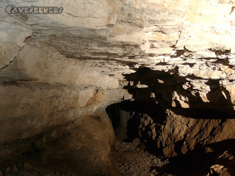 Schneiderloch: Blick nach Aussen. Schön ist die Verwandtschaft zur Falkensteiner Höhle zu erkennen.