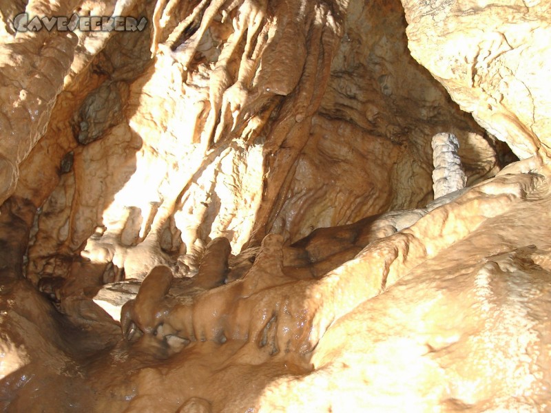 Schönsteinhöhle: Die Versinterungen zeigen sich stellenweise sehr hell.