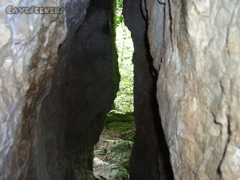 Schönsteinhöhle: Der Eingang von Innen.
