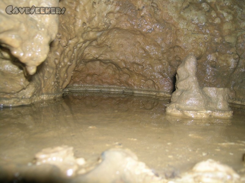 Schönsteinhöhle: Ein kleiner See. Ca. 900 cm².