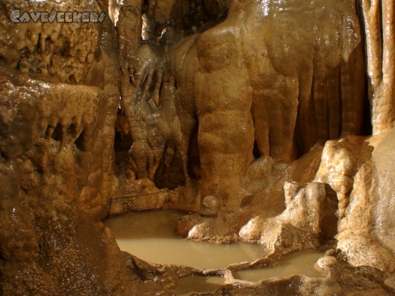 Schönsteinhöhle: Noch dicht: Ein paar Sinterbecken können noch das Wasser halten. Beachtenswert ist hier auch der starke Touristenschliff.