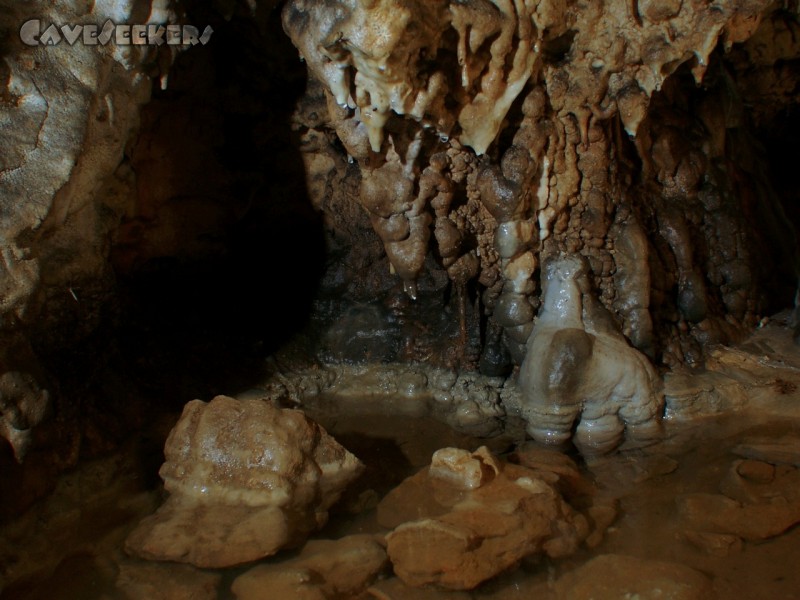 Schönsteinhöhle: Noch ein intaktes Sinterbecken.