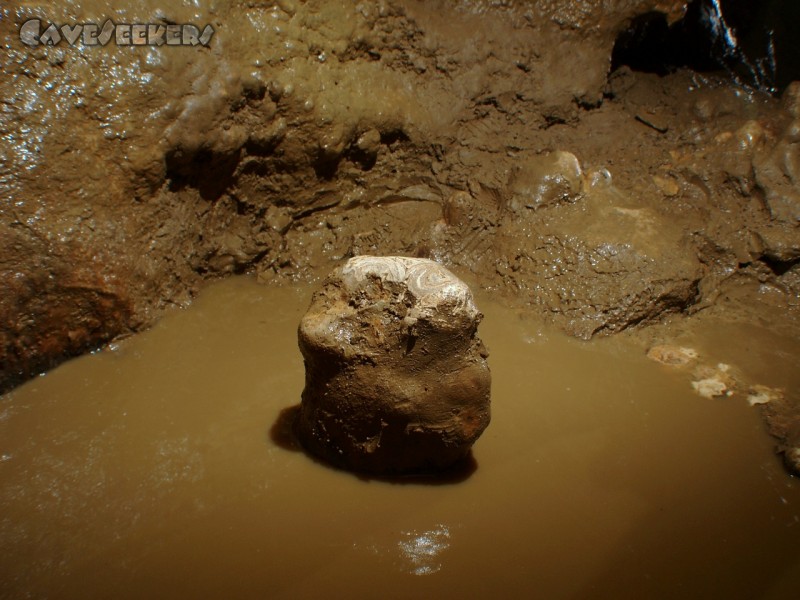 Schönsteinhöhle: Dieser ehemalige Tropfstein hat schon viele Turnschuhe vor dem Nasswerden bewahrt.