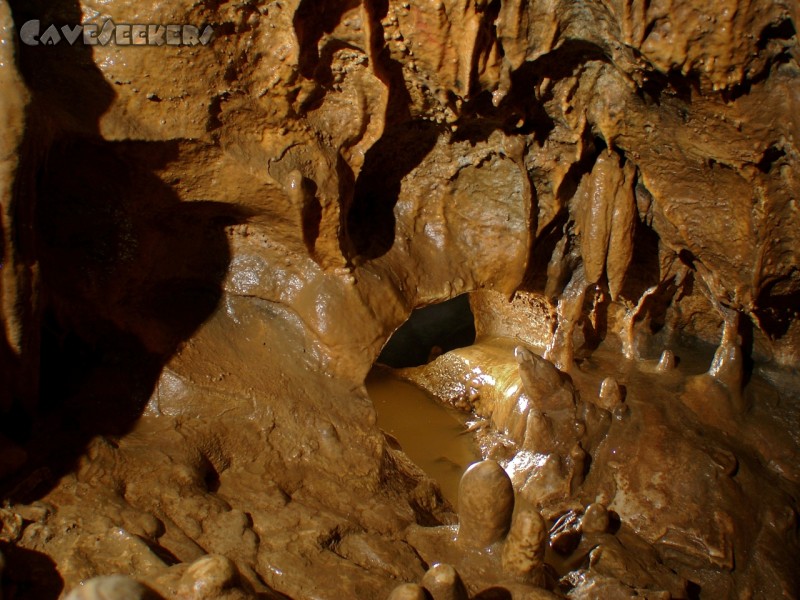Schönsteinhöhle: Hier könnte man sich sogar die Knie komplett einnässen.