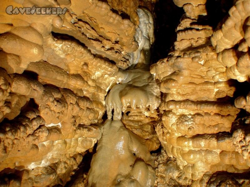 Schönsteinhöhle: ... muss einiges auch öfter abgelichtet werden.