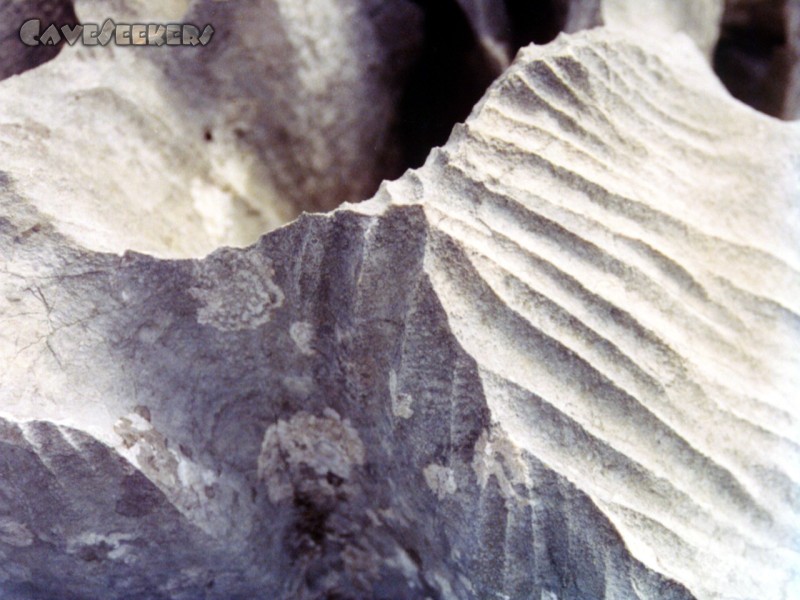 Schwarzmooskogel Eishöhle: Messerschrfe Felskante - in dieser Gegens keine Seltenheit.