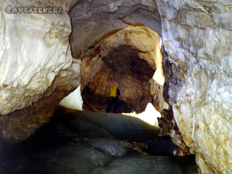 Schwarzmooskogel Eishöhle: Blick nach Oben kurz vor dem Eissee.