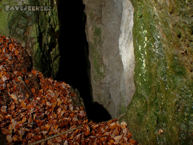 Schwefelhöhle: Blick durchs Gitter.