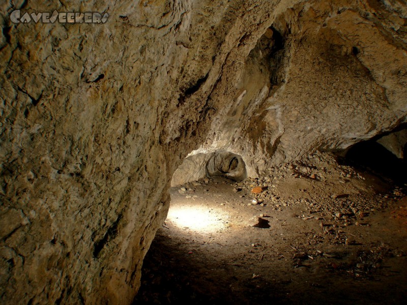 Schweigelshöhle: Haupthalle.