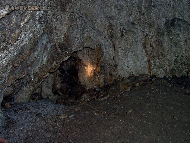 Schweigelshöhle: Bilder aus grauer Vorzeit.